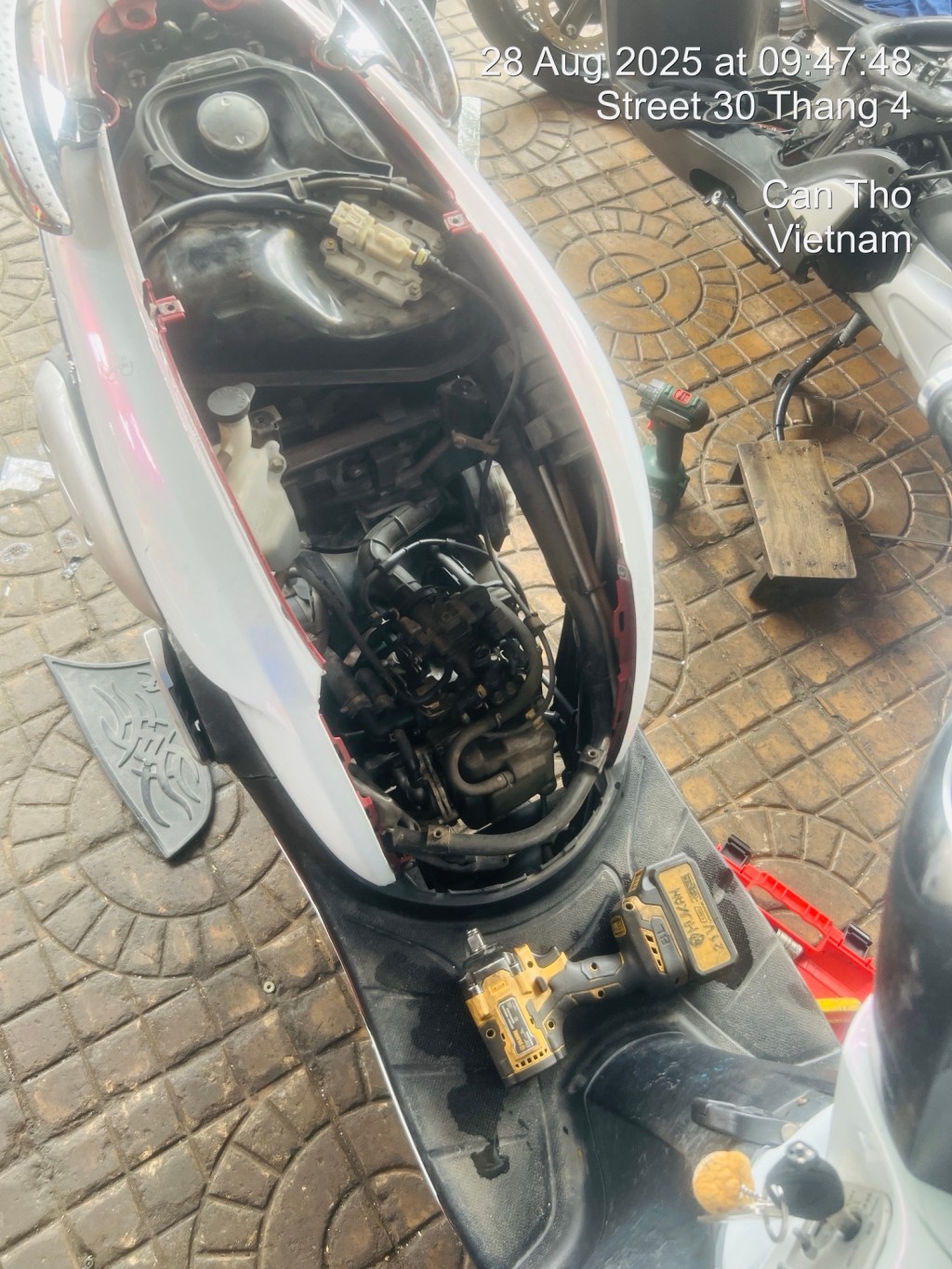 🚦 BẢO TRÌ XE – BẢO TRÌ CƠ THỂ&nbsp;🚦